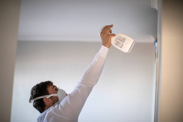 Professional Mold Remediation in Cactus Flats, AZ