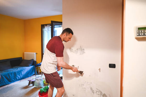 Best DIY Mold Remediation Support Services in Cactus Flats, AZ